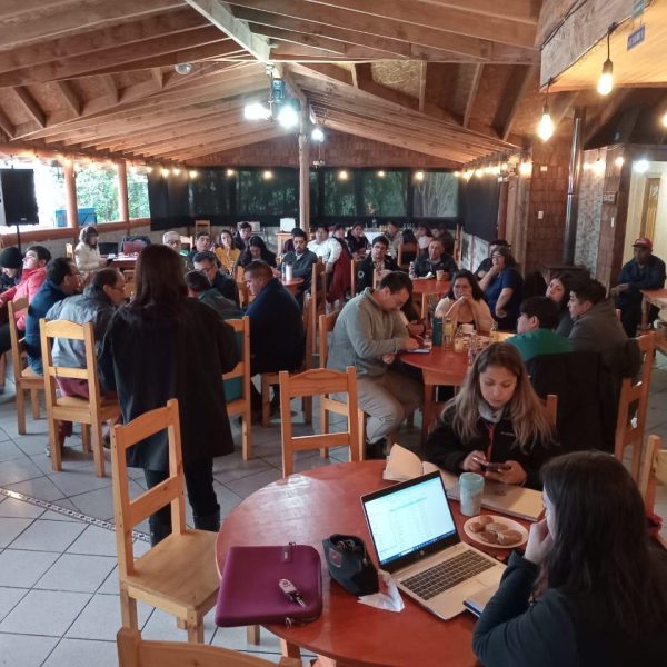 En Puerto Montt y Hornopirén: Casi 200 asistentes…